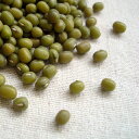 中国産 緑豆【1kg】