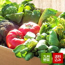 野菜セット 10-12品 野菜詰め合わせ 九州産 西日本 野菜 クール便
