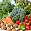 野菜と卵セット 九州野菜 野菜つめあわせ お取り寄せ グルメ 母の日 ギフト クール便