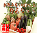 野菜詰め合わせセット 10種以上 送料無料【野菜セット】和歌山産中心 ギフト