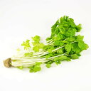【朝市場の新鮮野菜】ホワイトセロリ (袋 約100g)