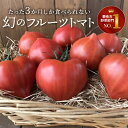 【ふるさと納税】【お試し】トマト ファーストトマト 700g 甘い たった3ヶ月しか食べられない フルーツトマト ハート型 健康 リコピン 送料無料 2023年