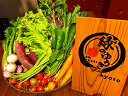 【ふるさと納税】【緑のゆうき】野菜の売上1%が社会の応援に 京都産 心も身体にも優しい、採れたて、こだわりの野菜(有機野菜・農薬化学肥料不使用など)のセット
