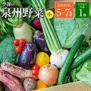 【ふるさと納税】季節 泉州 野菜セット (小) 詰め合わせ 国産 旬 おまかせ 5 〜 7品 ピクルスの素