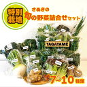 【ふるさと納税】 野菜 特別栽培 セット 詰め合わせ 無農薬 おまかせ 7～10種類 TAGATAME タガタメ