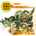【ふるさと納税】 野菜 特別栽培 セット 詰め合わせ 無農薬 おまかせ 10～15種類 大容量 TAGATAME タガタメ