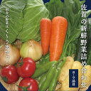 【ふるさと納税】B-021.新鮮野菜の詰合せ