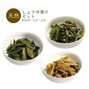 山菜しょうゆ漬セット (わらび・うど・ふき) 漬物 山形県産 山菜加工品 送料無料