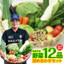 【送料無料】レビュー4.6以上 九州 鹿児島 野菜セット 詰め合わせ12品