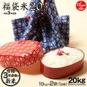 福袋米 20kg(10kg×2袋) 白米 玄米 令和3年 滋賀県産 1品種でのお届けとなります