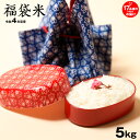 【新米】福袋米 5kg 白米 お米 令和4年 滋賀県産 送料無料