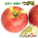 8月下旬〜9月上旬 つがる 訳あり りんご 減農薬 長野県産 約5キロ レビューを書いたら200円クーポン