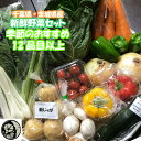 千葉県産 ・ 茨城県産 旬 詰め合わせ 産直 野菜 10品目以上 新鮮 採れたて 野菜セット 夏季クール便対応 (別途送料がかかります)