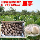 【訳有り】【送料無料】山形県産泥付き「里芋」お徳用 約5kg(S〜Lサイズ)