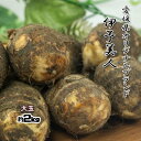 伊予美人 里芋 愛媛県産 大玉 サトイモ 約2kg 送料無料 箱買い 野菜