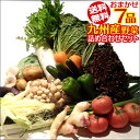 おまかせ詰め合わせ九州野菜セット 7品セット