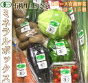 ミネラルボックス 有機JAS野菜詰め合わせCコース(青森県 はまなす生産組合)無農薬オーガニック野菜セット・送料無料・クール便無料