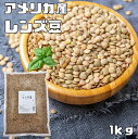 まめやの底力 大特価 アメリカ産レンズ豆(皮つき) 1Kg【限定品】