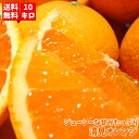ジューシーな甘みたっぷり清見オレンジ 10kg 【送料無料】【RCP】