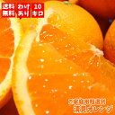 ご家庭用粗選別清見オレンジ 10kg 【送料無料】【訳あり】【わけあり】【RCP】