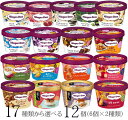 お年賀 ハーゲンダッツ アイスクリーム ミニカップ 17種類から2種類選べる福袋12個(6個×2種類)セット