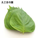 えごまの葉(10枚前後) 栃木県産 無農薬栽培 10パック