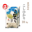 新米 米 白米 10kg 送料無料 コシヒカリ 5kg×2袋 愛知県産 令和6年産 コシヒカリ お米 10キロ 安い あす楽 送料無料【沖縄、配送不可】