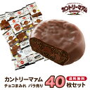 《敬老の日》 お中元 早割り お菓子 詰め合わせ 福袋 チョコ 不二家 カントリーマアム チョコまみれ 40枚 ばら売り 送料無料 子供 個包装 駄菓子 業務用 駄菓子セット プチギフト チョコレート あす楽 焼き菓子 クッキー チョコクッキー ギフト ちょこまみれ fujiya