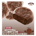 《敬老の日》 お菓子 詰め合わせ 子供 個包装 送料無料 駄菓子 まとめ買い プチギフト カントリーマアム チョコまみれ チョコレート 50枚 不二家 fujiya あす楽 ギフト ミドルパック 小分け チョコ 食品 試食