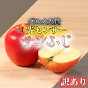 !!当選確率90%!! ＼光センサー選果/ 3kg 5kg 10kg サンふじ ふじ サン ふじ 津軽 送料無料 訳あり りんご 青森 青森県産 家庭用 リンゴ 青森県 林檎 果物 サンふじ リンゴジュース 3キロ 5キロ 10キロ 自宅