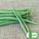 [有機栽培]インゲン(65g) 有機 オーガニック いんげん 生 国産 サラダ 三度豆
