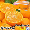 【順次出荷】有田みかん 訳あり 5kg・35〜70個入 送料無料 (お買得サイズ不選別)認定生産者の有田みかん本場紀州から[紀伊国屋文左衛門本舗]温州みかん生産量日本一の和歌山県産 産地直送 わけあり訳ありご家庭用果実