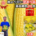 【絶賛出荷中】 とうもろこし わけあり 桃より甘い 2L-L混合 12本 朝採 甘い シリーズ累計45万本突破 県外不出 生で食べれるとうもろこし 恵味 長野 訳アリ トウモロコシ 送料無料 惠味ゴールド