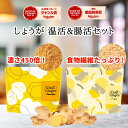 ＼セットがお得!/ 生姜パウダー & 食物繊維 セット 送料無料 ジンジャーパウダー 無添加 無着色 乾燥しょうが 高知県産 国産 生姜 粉末 ファイバー クラフトジンジャー 温活 冷え 腸活 ヘルシー SDGs メール便 ポスト投函 ポイント消化