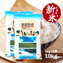 とれたて新米 10kg 新潟産こしいぶき お米 10キロ 令和6年産 精米 白米 5kg x2袋 送料無料(沖縄のぞく)