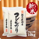 とれたて新米 10kg 岩船産コシヒカリ お米 令和6年産 地域限定 こしひかり 5kg x2袋 送料無料(沖縄のぞく)