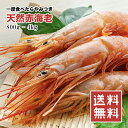 【楽天ランキング1位】天然 赤海老 えび 大型 500g 800g 1kg【動画あり】2kg 4kg 6kg 8kg 10kg 生食用 刺身 ガーリックシュリンプ パスタ 海老マヨ トムヤムクン パエリア 味噌汁 バター炒め BBQ 寿司ネタ 海老 エビ バーベキュー 海鮮 父の日 ギフト あす楽 送料無料 冷凍★