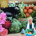 【ふるさと納税】四季折々の野菜・山菜セット(5品目ほど)【45P3203】