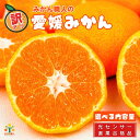 【ふるさと納税】 訳あり愛媛みかん 選べる内容量 1kg 2kg 3kg 5kg 小粒っ子5kg 2kg2箱セット 光センサー選果 柑橘 果物 フルーツ 不揃い 傷 みかん みかん職人武田屋 愛媛県 愛南町 発送期間: 9月中旬〜1月中旬 (クラウドファンディング対象)