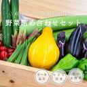 【ふるさと納税】 野菜 セット 6 ～ 8品目 詰め合わせ レシピ 付き 産地直送 高知県 須崎市 なばな 新玉ねぎ そら豆 スナップえんどう 春キャベツ フルーツトマト カラフルじゃが芋 みょうが ズッキーニ オクラ コリンキー かぼちゃ リュウキュウ すじなし豆 トマト