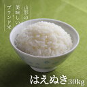 はえぬき 30kg 送料無料 お米 コメ 山形県産 令和5年産 精米 玄米 無洗米