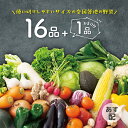 【 あす配 送料無料 】野菜セット 16品 野菜詰め合わせ 野菜BOX 野菜 詰め合わせ 旬 食材 産地直送 新鮮 宅配 生野菜 上越フルーツ