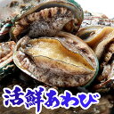 【最高鮮度保証】あわび 刺身 冷凍あわび 活鮮あわび アワビ 高級食材 贈り物にも最適 美味しいBBQ・バター焼き料理 生鮮食品 海の幸 お祝い用 おいしく健康に最適 -18℃以下保管 送料無料