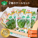 ★スーパーSALE限定50%OFF 4日20:00~11日1:59★ きらきらベジ 2種類のケールセット 野菜セット 送料無料 ケール 野菜 人気 セット サラダ 生野菜 新鮮 クール便 安心 安全 栄養 健康 ルテイン ビタミンC 国産 福井県産 個包装 産地直送 採れたて お取り寄せ