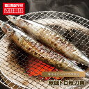 さんま 生 『 【送料無料】秋味トロ秋刀魚/2kg箱(16～17尾入り) 』 秋刀魚 サンマ 刺身用 秋季限定