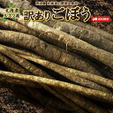 【11月下旬ー12月上旬お届け予定】ごぼう 送料無料 3kg/5kg/10kg/15kg 北海道ルスツ産 土付き 訳あり 混みサイズ 送料込み ごぼう茶 国産 わけあり ワケアリ ゴボー 牛蒡