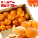 【訳あり】 みかん 10kg 送料無料 訳あり 3L以下 くす玉くん ジュニア 和歌山みかん 訳ありみかん 農家直送 訳あり有田みかん 蜜柑 10キロ 風袋込 和歌山県 有田市 小粒 小玉 ミカン 果物 フルーツ 自宅用 美味しい 家庭用 産地直送 有田みかん 訳アリ 小さめ