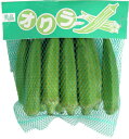 おくら(オクラ)スタミナ野菜の定番!  1p <タイ・フィリピン>