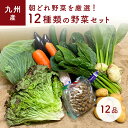 「あす楽」<セット> おまかせ 九州野菜セット 12品 旬の野菜詰め合せ・おまかせ詰め合わせセット! 人気のセット! 西日本 <送料無料>