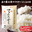 令和6年産 新米 富山県産 富山県産てんたかく 10kg 令和6年 お米ギフト 精米 分づき米 白米 10キロ お祝い 御歳暮 お米 ギフト 食品 プレゼント お歳暮ギフト 入学内祝い 引っ越し 挨拶 仕送り ご飯 食べ物 お歳暮ギフト 名入れ のし対応